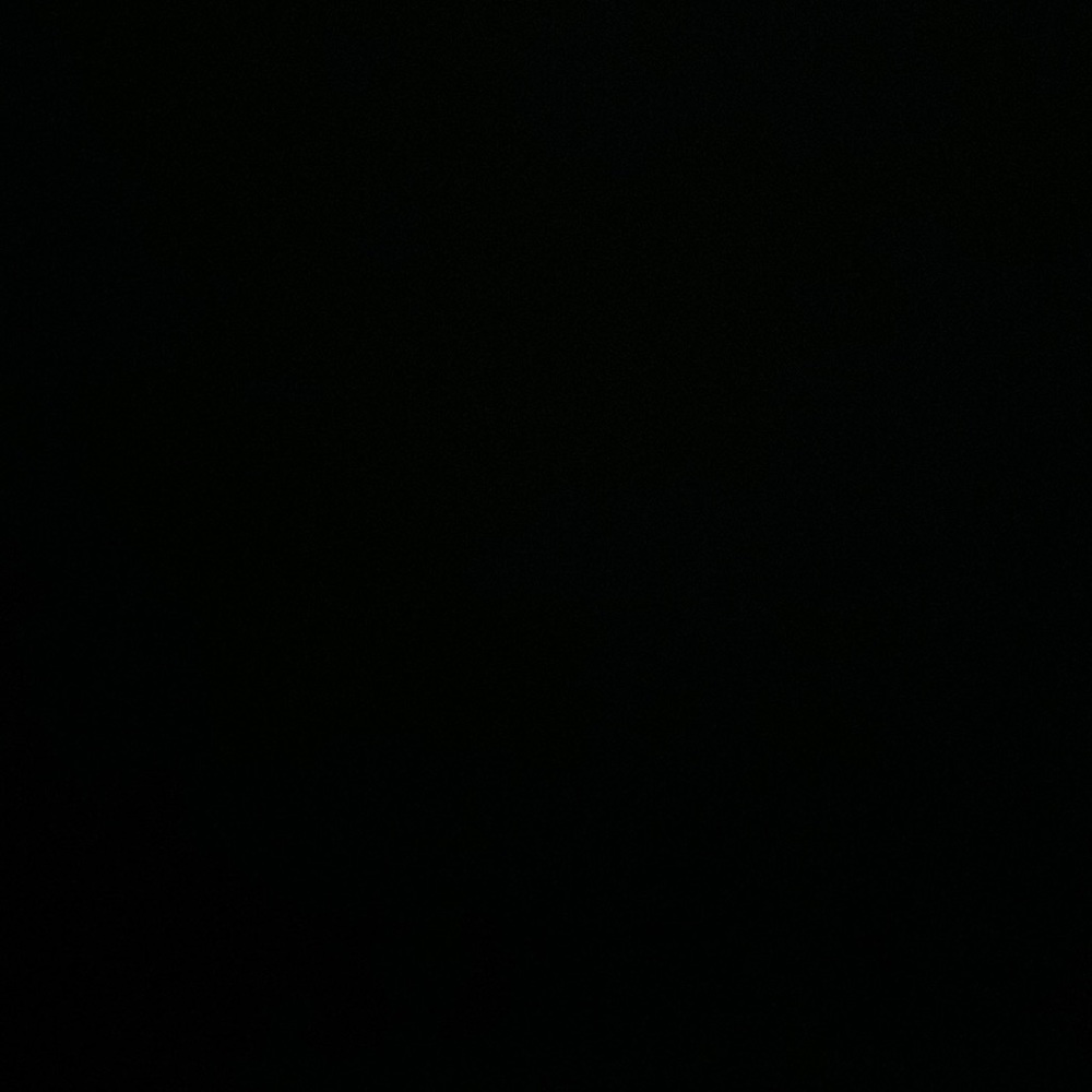 Meet your Posher, Daniela